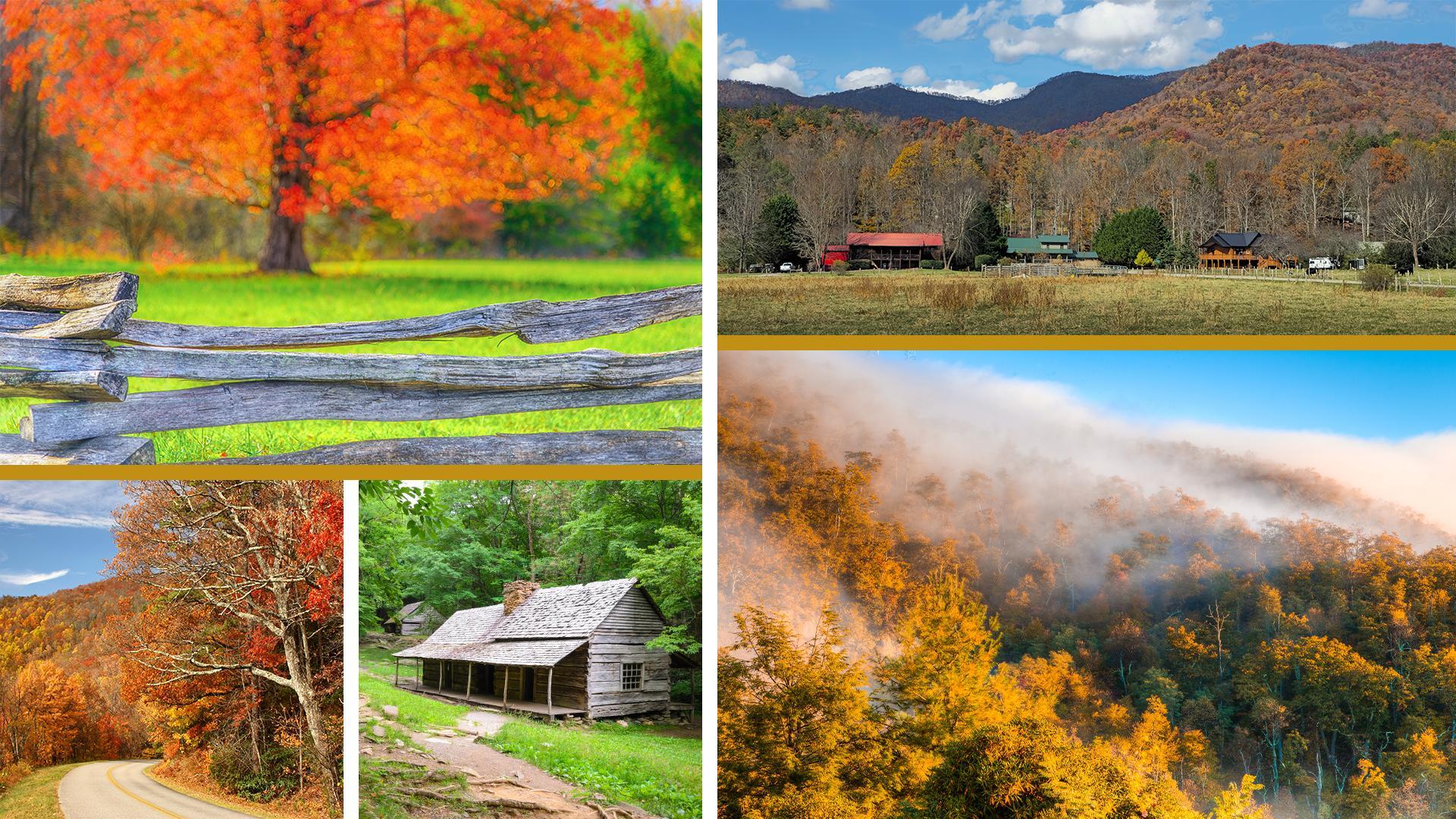 A collage highlighting various natural scenes throughout Appalachia, including forests, cabins, and open fields