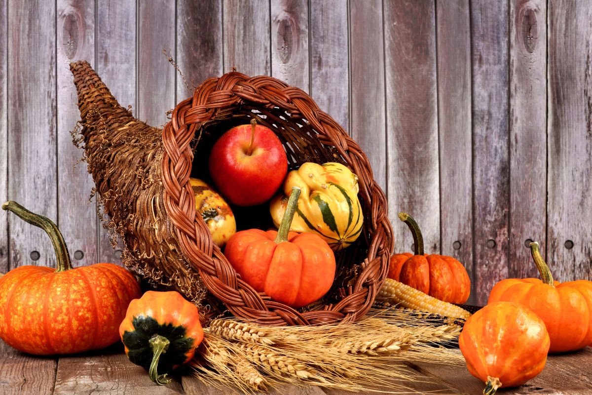 Pumpkin Basket for Fall Decor and a Table Centerpiece