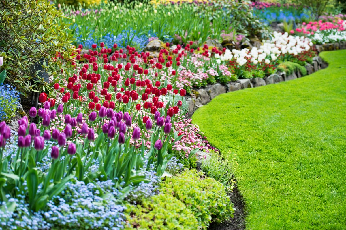 Spring Flower Planting Ideas Best Flower Site